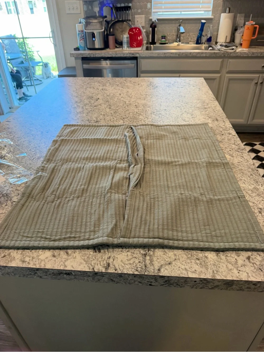 Quince Sage Green Cotton Euro Sham 26x26